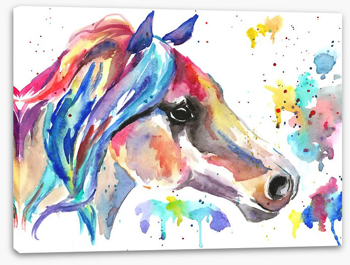 Stallion splash