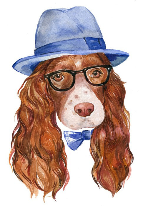 Spaniel of style