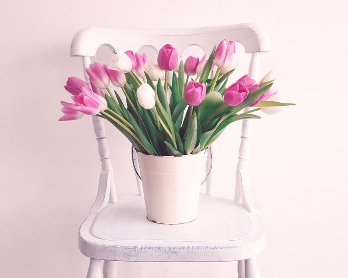 The tulip chair
