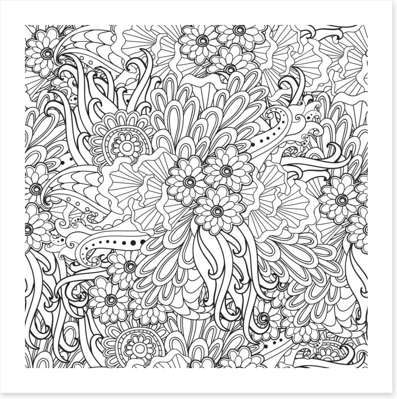 Colour me coral flower