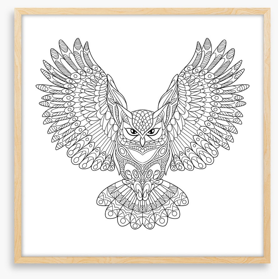 Colour me wings