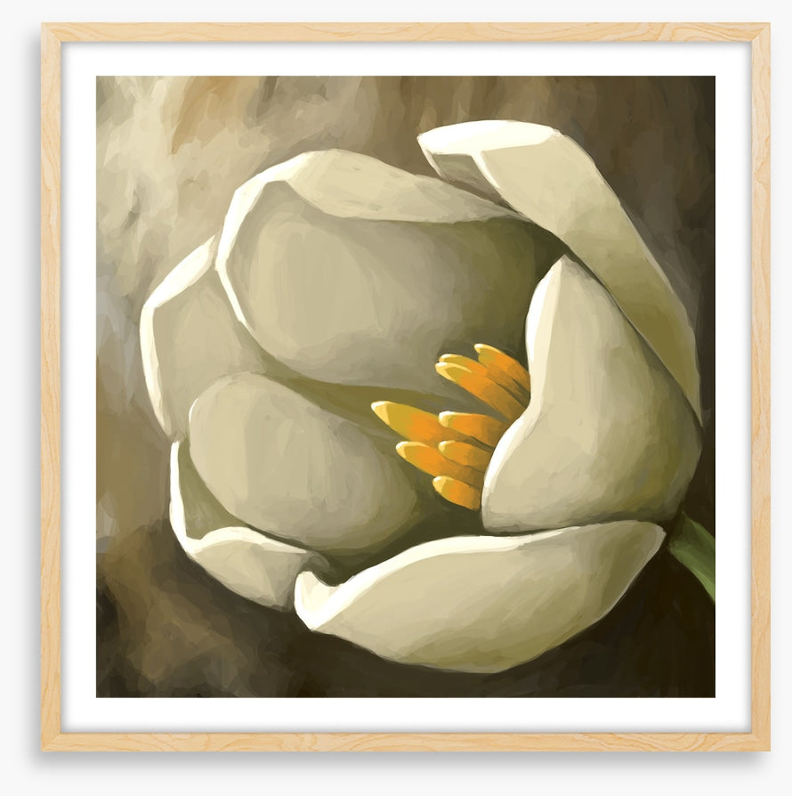 Tulip treat