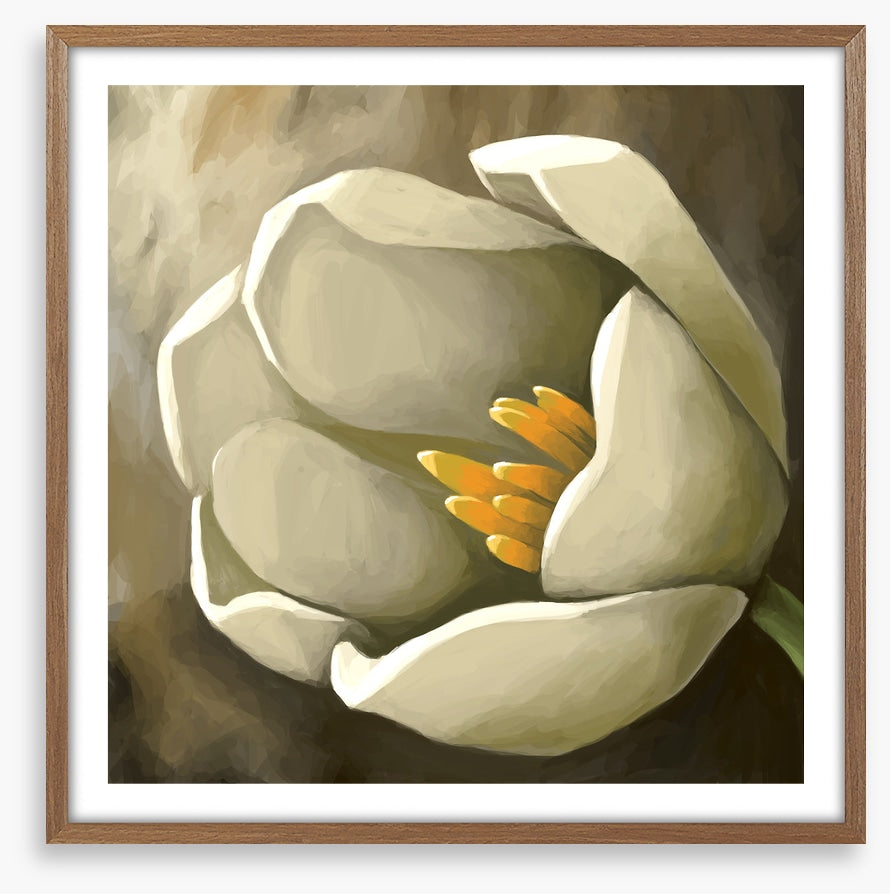 Tulip treat