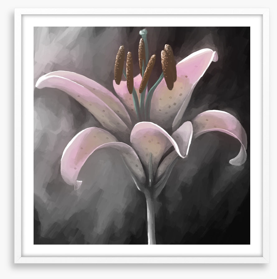 Lily delight