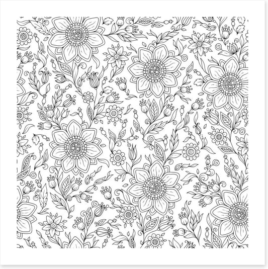 Colour me summer garden