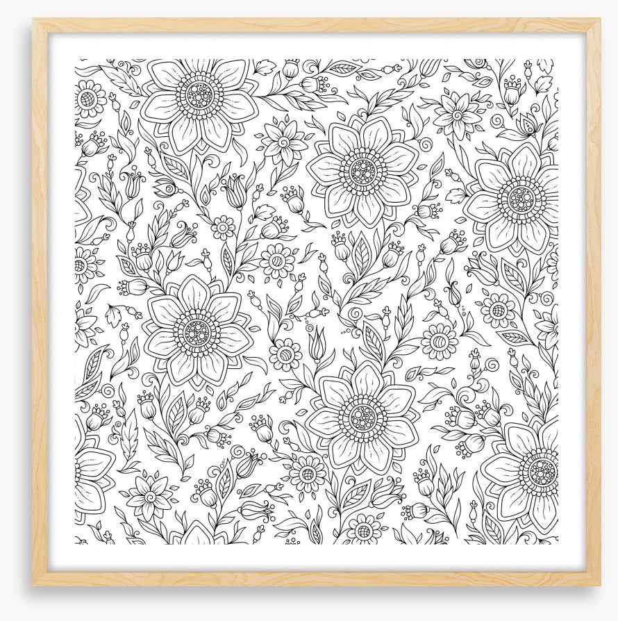 Colour me summer garden