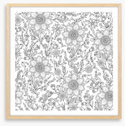 Colour me summer garden