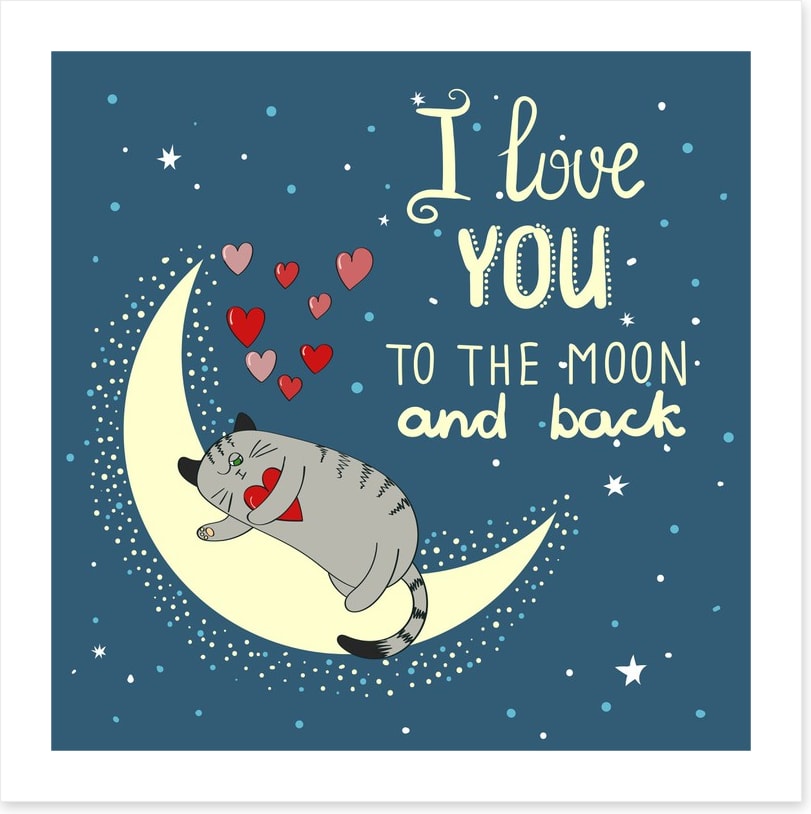 Love cat
