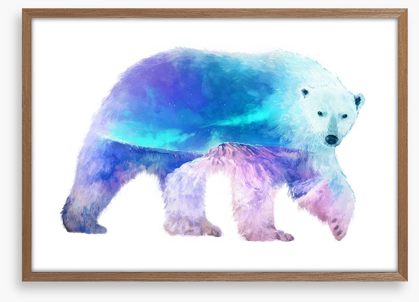 Polar aurora