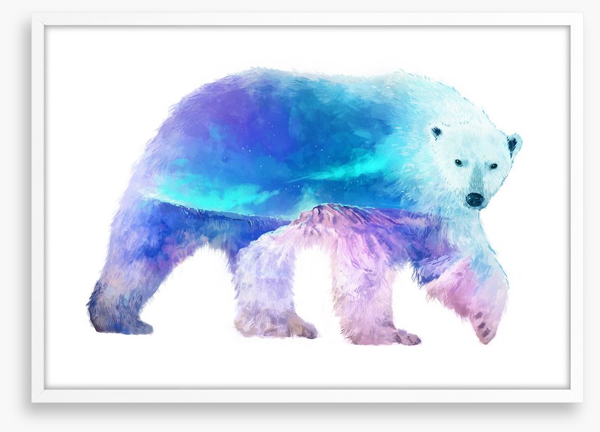 Polar aurora