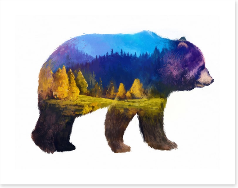 Bear of the mountains