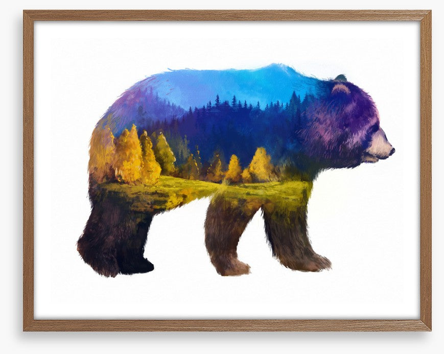 Bear of the mountains