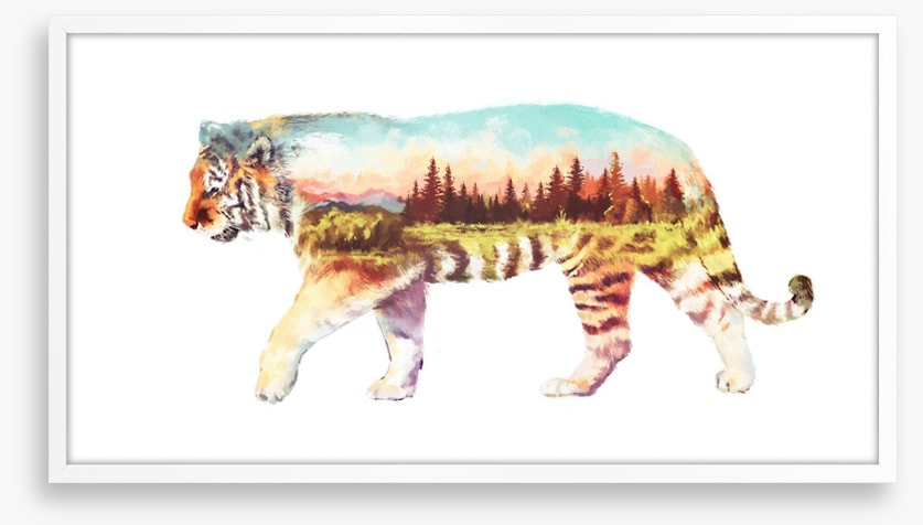 Tiger of the forest