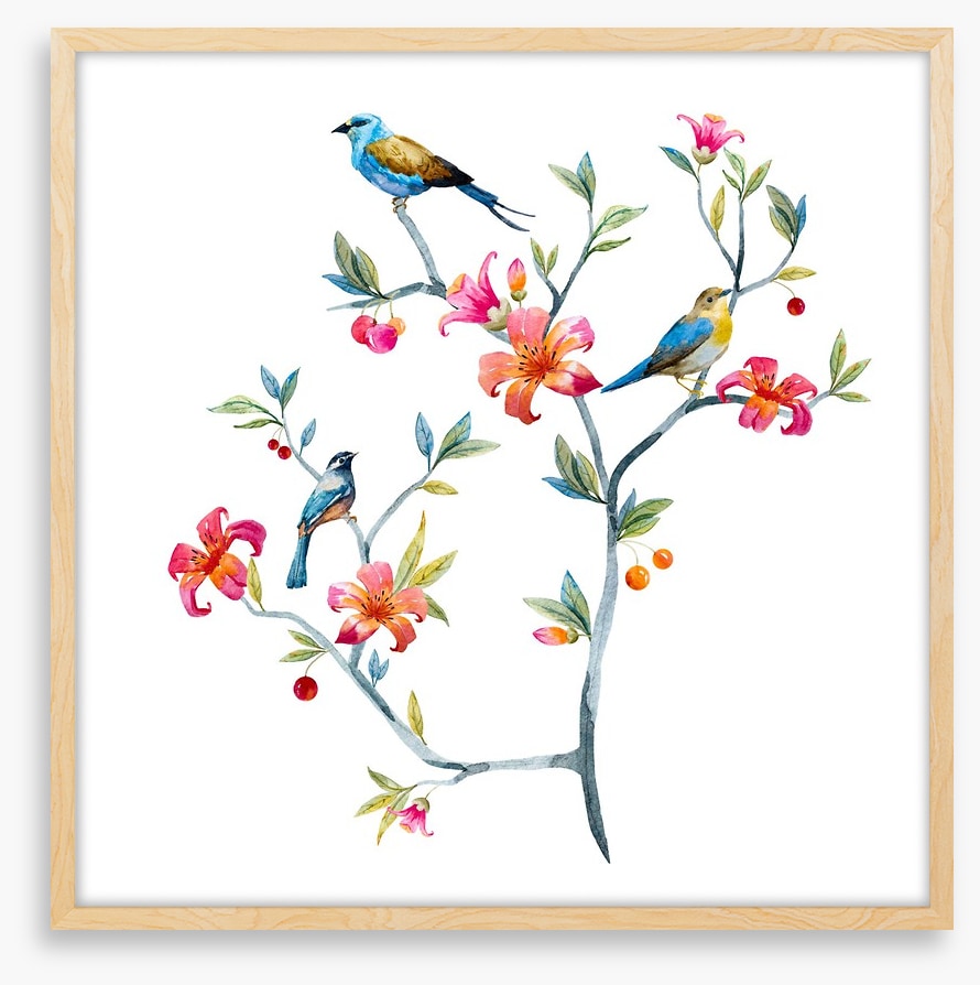Birds on a branch