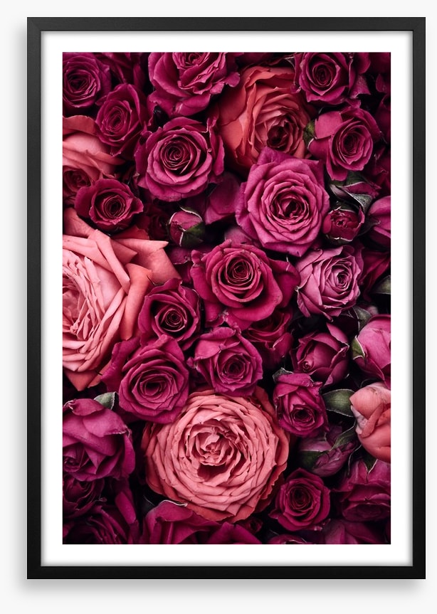 Bed of roses