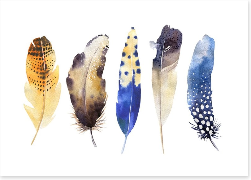Feather me boho