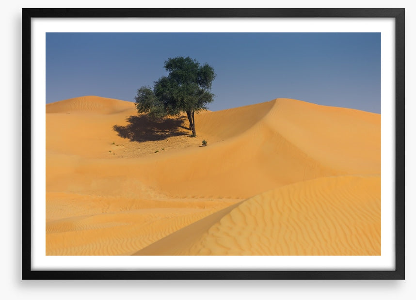 Desert