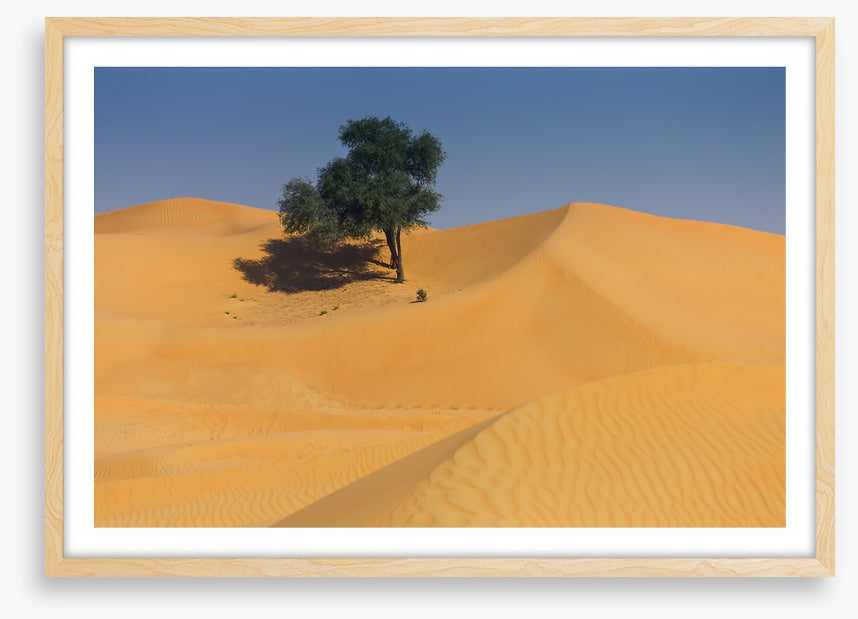 Desert