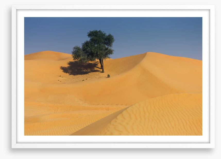 Desert