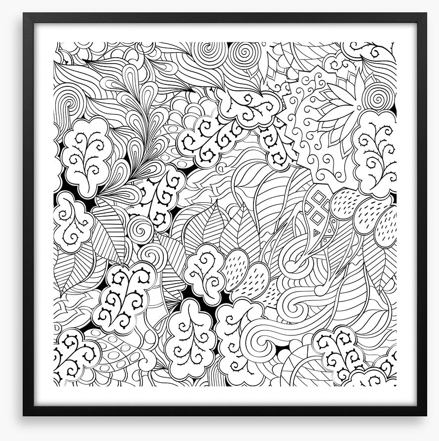 Colour me garden