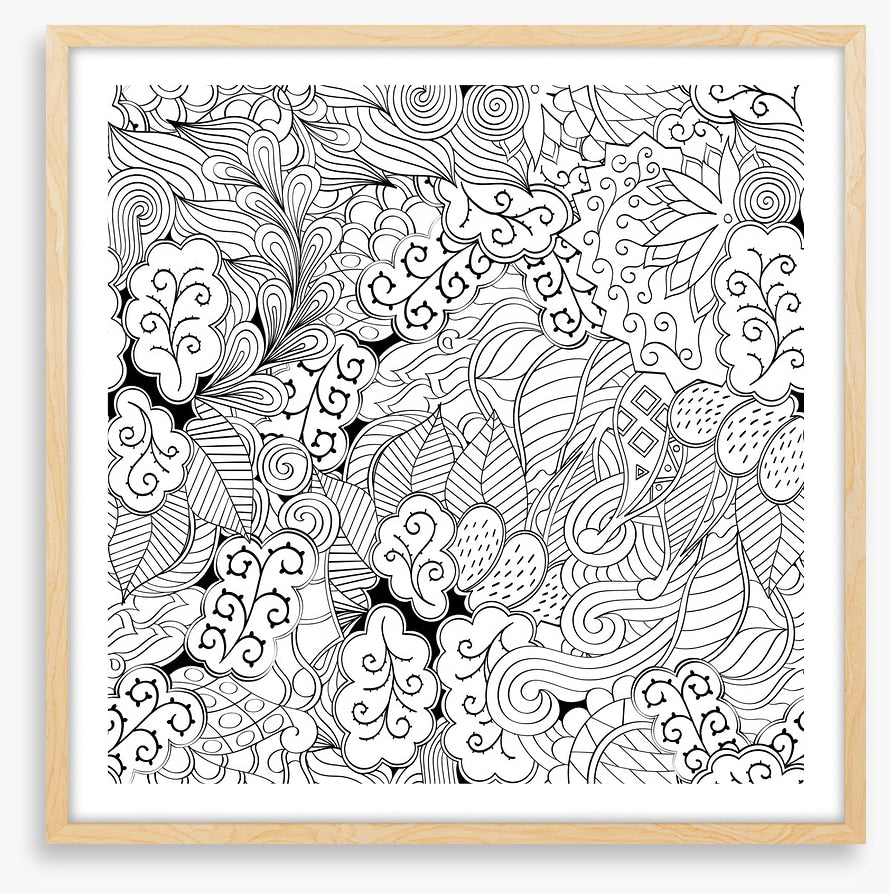 Colour me garden
