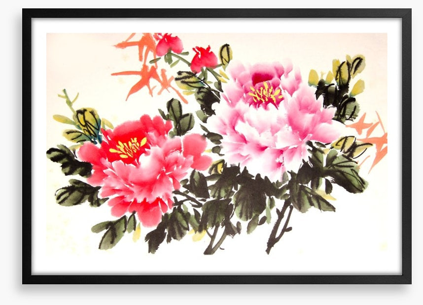 Chinese peony
