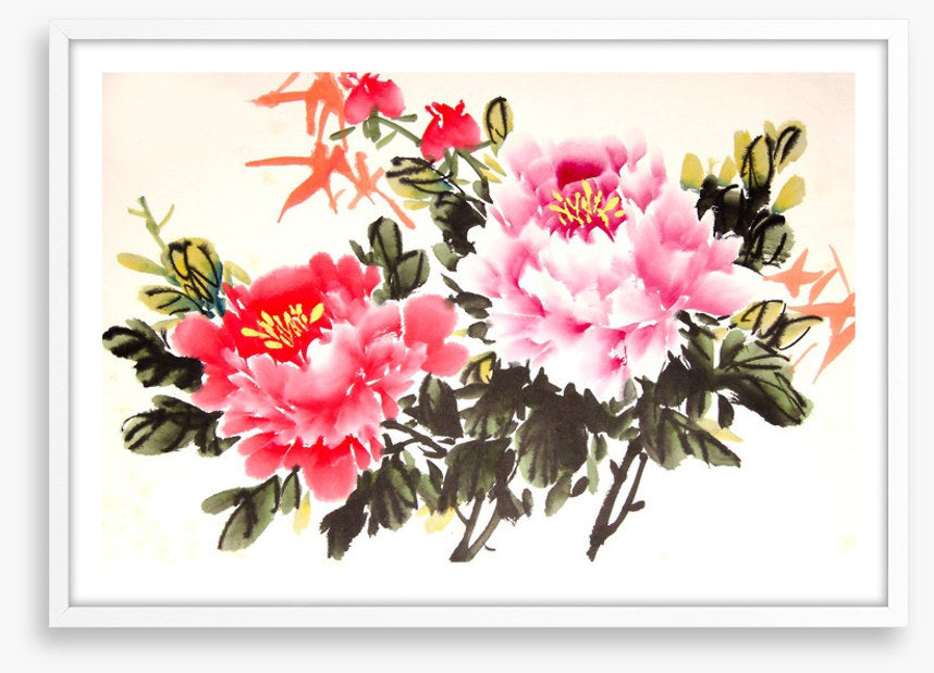 Chinese peony