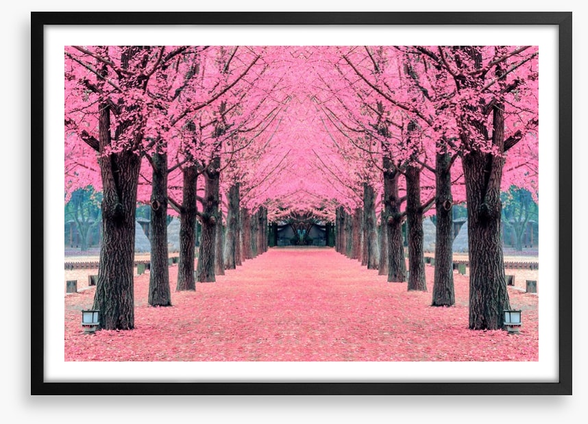 Pink blossom tunnel, Nami Island