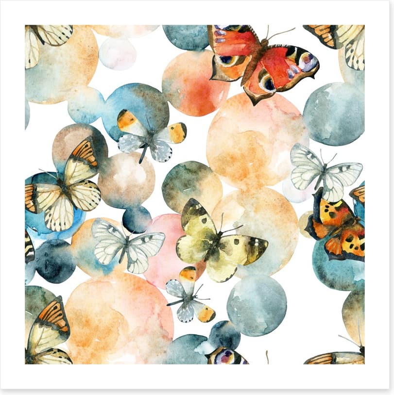 Butterflies