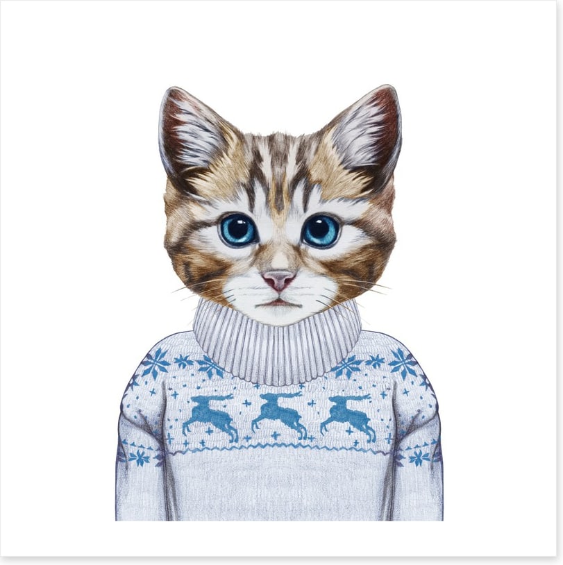 Puss in sweater