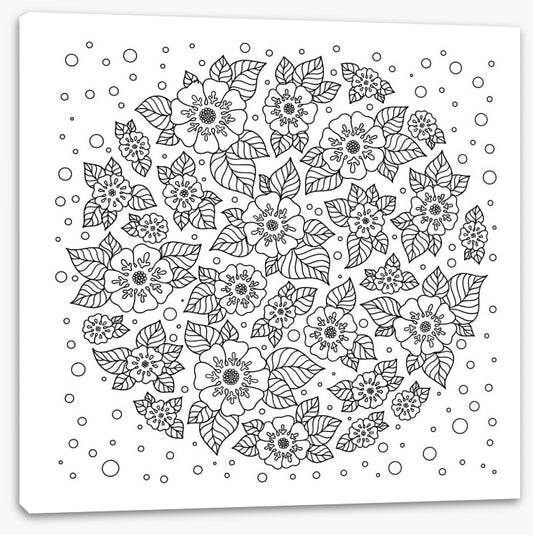 Colour me garden rain