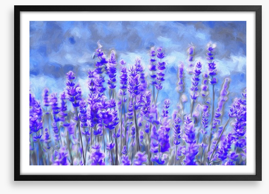 Lavender for luck