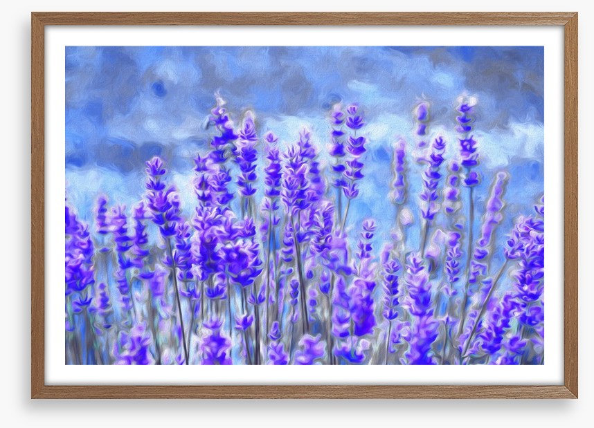 Lavender for luck
