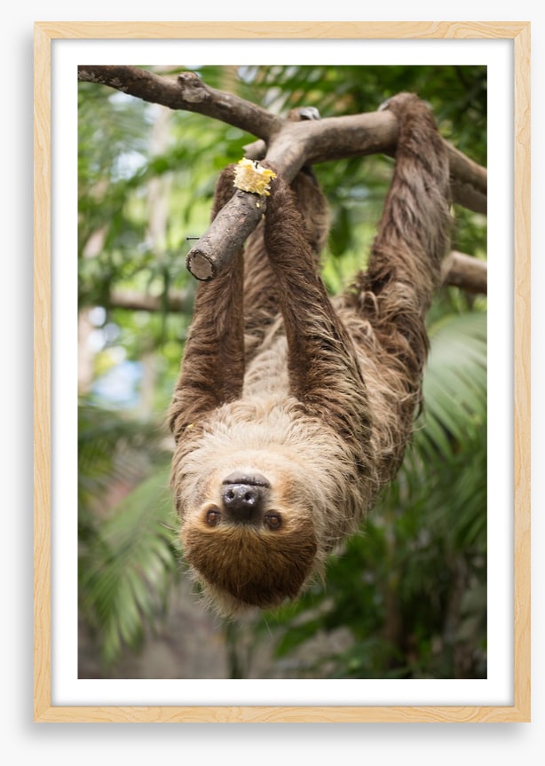 Hang on
