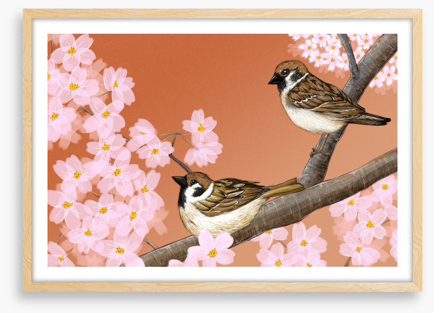 Birds
