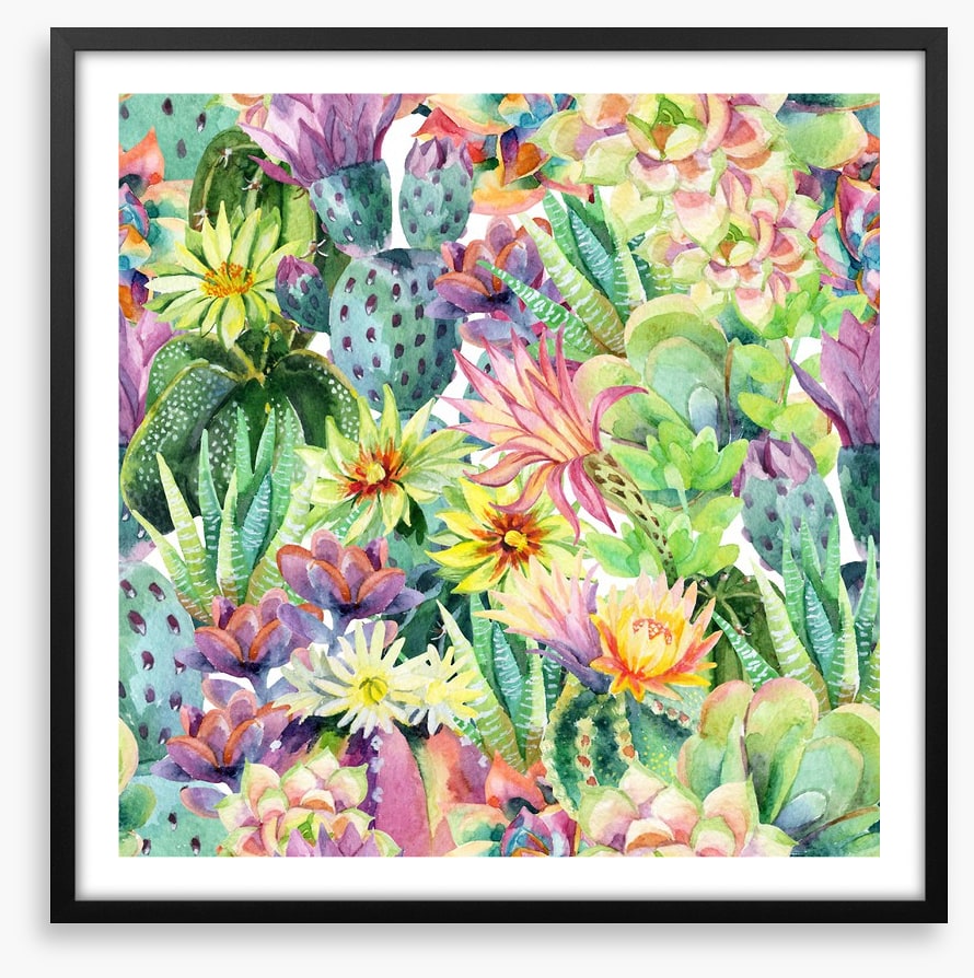 Desert bloom