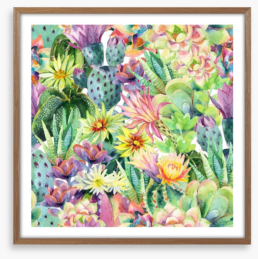 Desert bloom