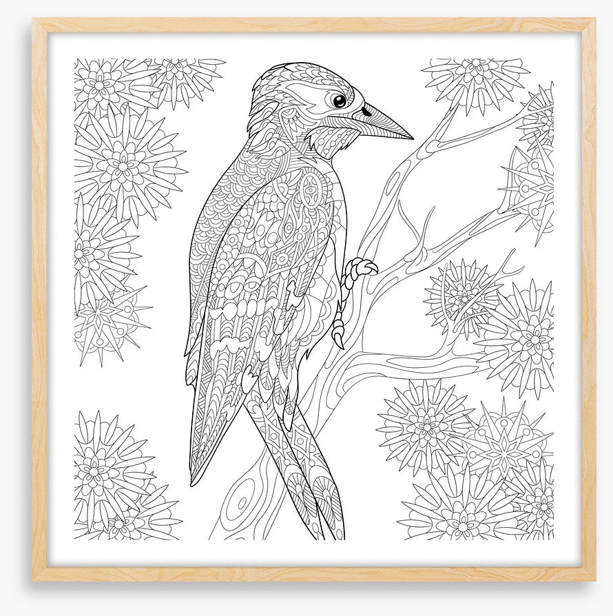 Colour me woodpecker
