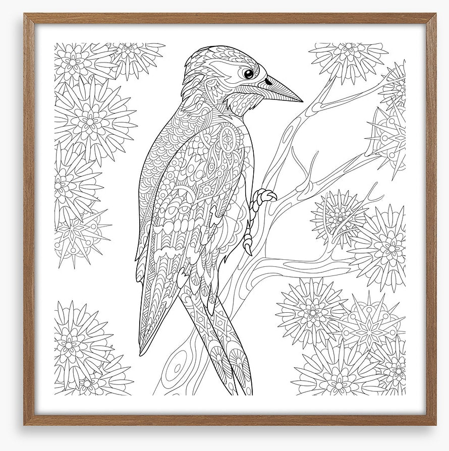 Colour me woodpecker