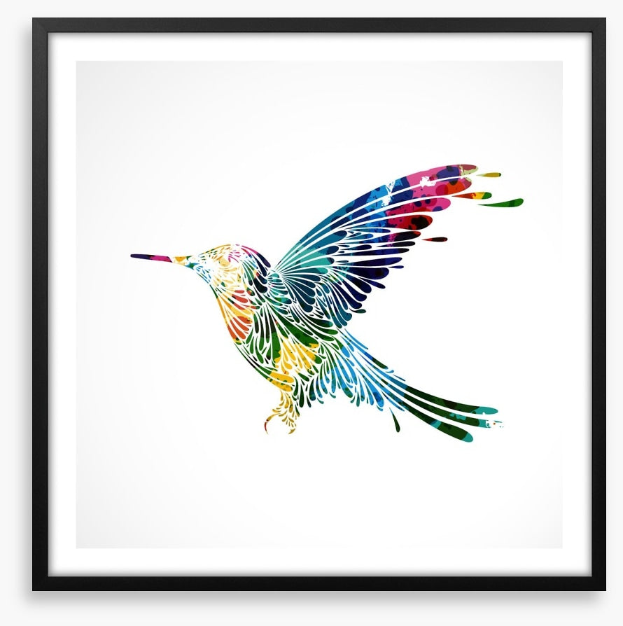 Rainbow hummingbird