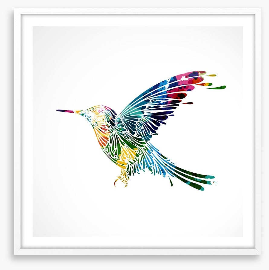 Rainbow hummingbird