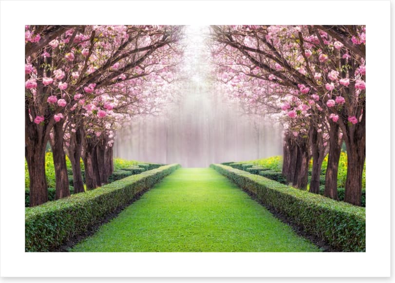 Between the blossom