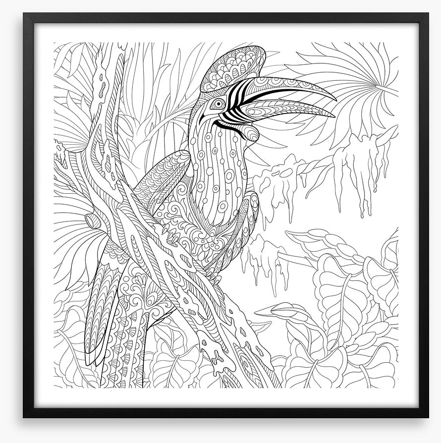 Colour me hornbill