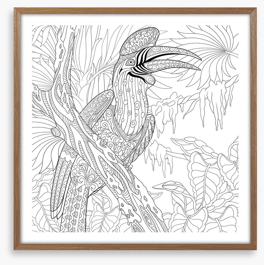 Colour me hornbill