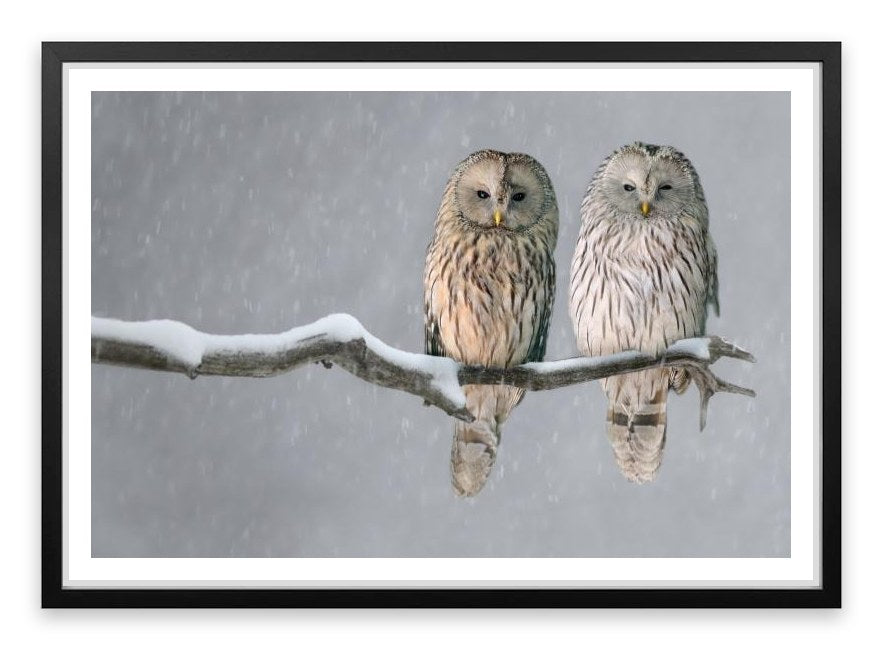 Together in the snow