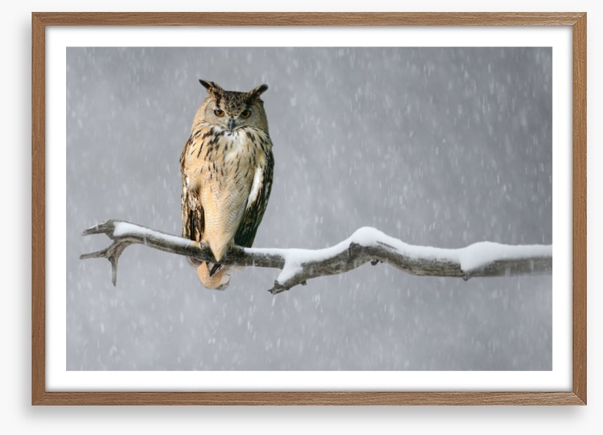 Alone in the snow