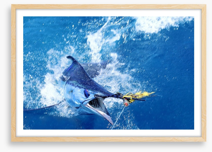 Blue marlin bait
