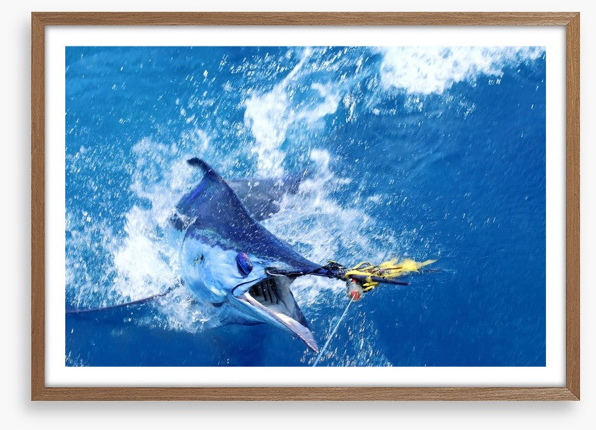 Blue marlin bait