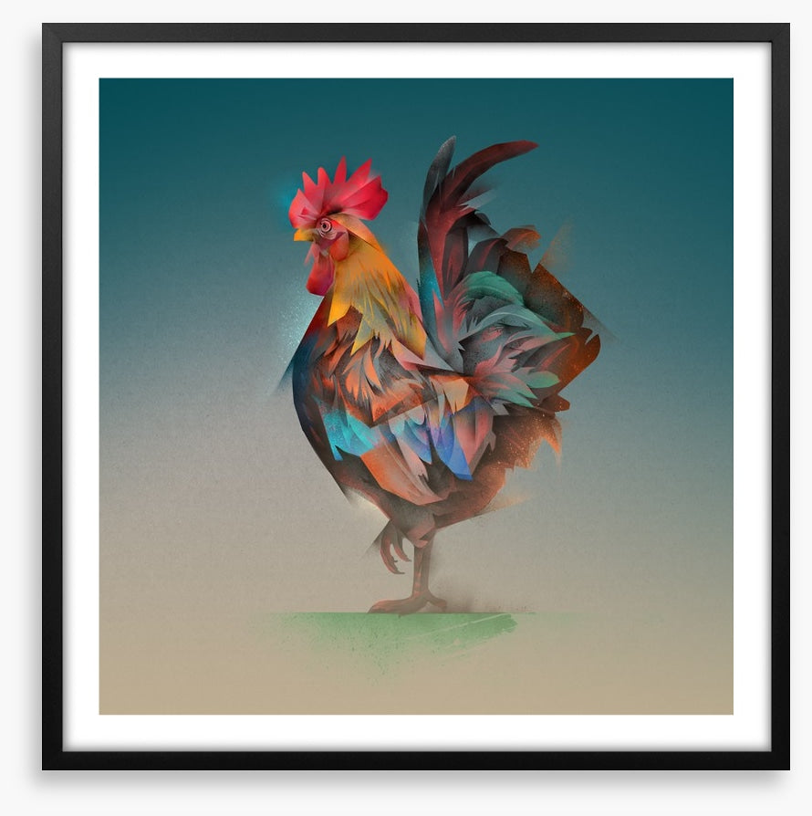 Strutting rooster