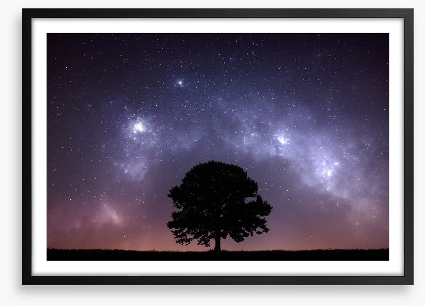 The zodiac tree